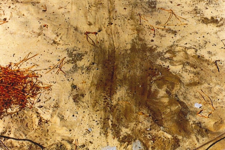 Markings on a sandy patch of land-photo taken by police at Karrakatta in the hours following the attack, showing ground markings consistent with something or somebody being dragged Markings on a sandy patch of land-photo taken by police at Karrakatta in the hours following the attack, showing ground markings consistent with something or somebody being dragged